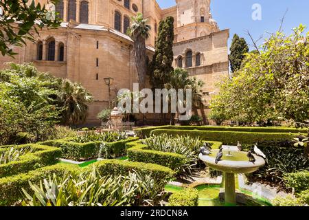 The gardens of the Málaga Cathedral or Santa Iglesia Catedral Basílica de la Encarnación, Malaga, spain. Stock Photo