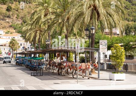 Traditional donkey taxi in the famous white spanish mountain village of Mijas in Andalusia; Costa del Sol, Spain. Stock Photo