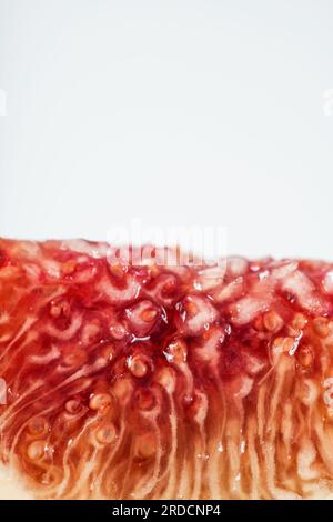 fresh ripe fig in section, mark on white Stock Photo