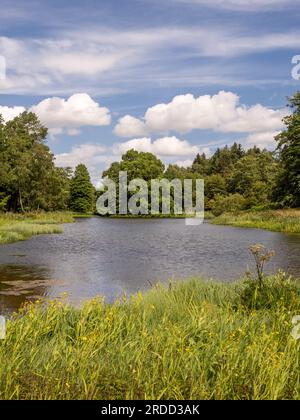 The main lake at Yorkshire Arboretum in summer seen against a blue sky.North Yorkshire, UK Stock Photo
