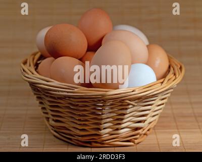 Many chicken eggs in a basket Stock Photo