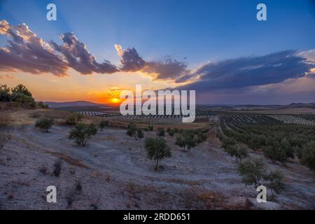 typical Andalusian landscape during sunset, Spain Stock Photo