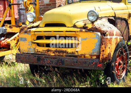 Old International Harvester pickup truck sits abandoned and rusting.  It has bright yellow paint that is peeling and cracked. Stock Photo