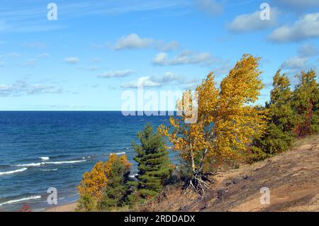 Blue horizon stretches across Lake Superior in Upper Peninsula, Michigan.  Aspen besides lake turns golden and is bent by wind.  Small boat bobs offsh Stock Photo