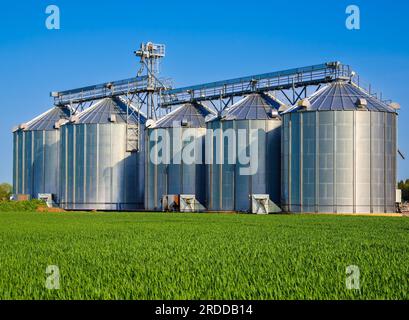 Steel agricultural silos near Motala, Sweden, for storage and drying of grains, wheat, corn, soy, sunflower Stock Photo