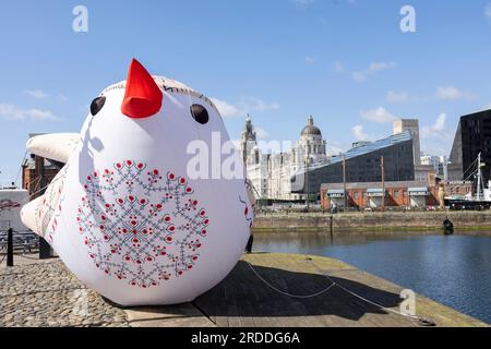 Liverpool, united kingdom May, 16, 2023 Ukrainian Soloveiko Songbird for Eurovision 2023 Stock Photo