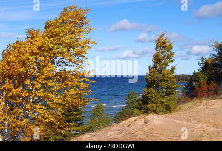 Blue horizon stretches across Lake Superior in Upper Peninsula, Michigan.  Aspen besides lake turns golden and is bent by wind.  Small boat bobs offsh Stock Photo