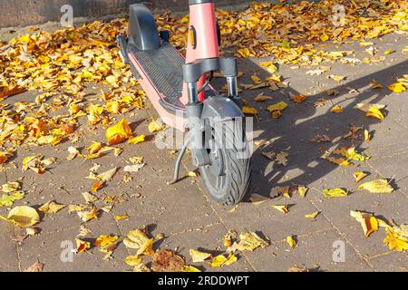 Electric scooter stands on the pavement in the autumn park Stock Photo
