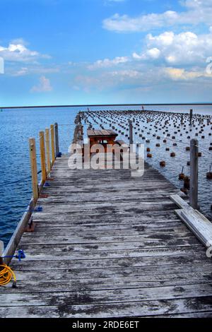 Old dock pier supports lay submerged besides newer dock.  Seagulls sit on tops.  Picnic table provides lakeside park on Lake Superior in Marquette, Mi Stock Photo