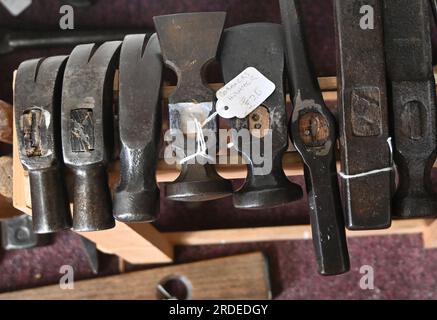hammer heads Stock Photo