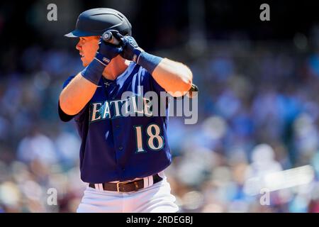 Minnesota Twins catcher Christian Vazquez looks on in between batters  against the Seattle Mariners during a baseball game, Tuesday, July 18,  2023, in Seattle. (AP Photo/Lindsey Wasson Stock Photo - Alamy