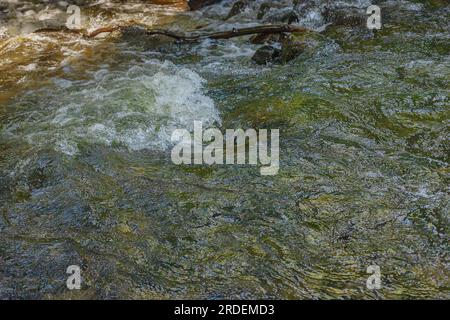 Rapid river. Whirlpools. Waves on the river. Vacations in Poland. Swider River. Stock Photo