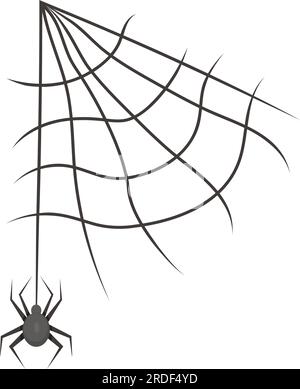 Cobweb with spider. Vector illustration. Conceptual element for Halloween holiday theme design, decor and print Stock Vector