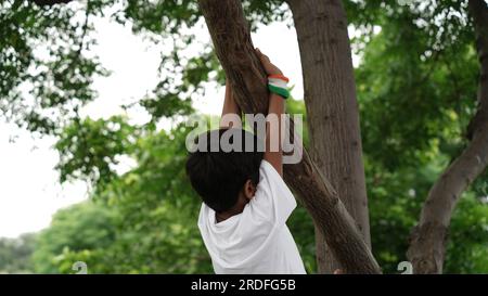 Little boy smiling and climbing on tree on the occasion of Vijay Diwas Stock Photo