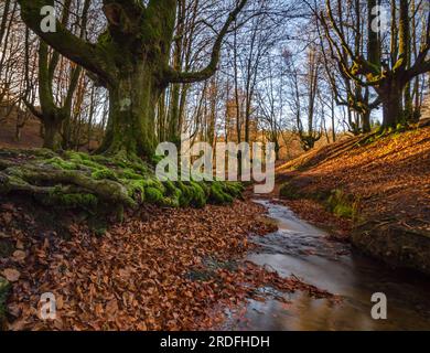 PHOTOGRAPH OF THE "HAYEDO DE OTZARRETA", TAKEN WITH THE USE OF FILTERS AND LONG EXPOSURE IN JANUARY 2023 Stock Photo