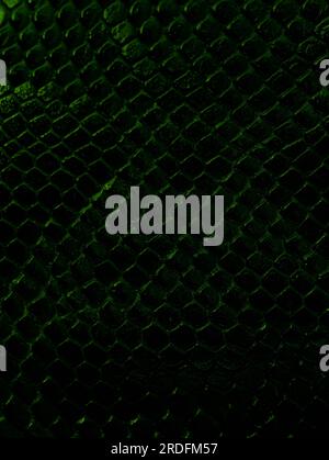 luxury green crocodile texture closeup. Natural crocodile skin background. leather skin Stock Photo