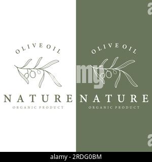 Hand drawn Botanical logo,leaf and natural olive fruit .Herbal, olive oil,cosmetic or beauty. Stock Vector