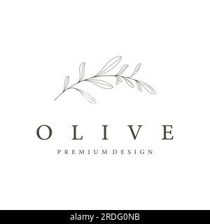 Hand drawn Botanical logo,leaf and natural olive fruit .Herbal, olive oil,cosmetic or beauty. Stock Vector