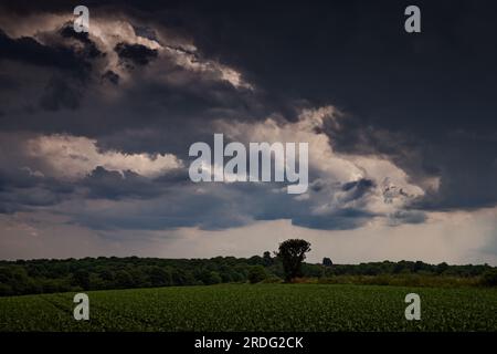 A dramatic stormy sky filled with angry looking clouds about to drop rain over arable fields, Doncaster, South Yorkshire. Stock Photo