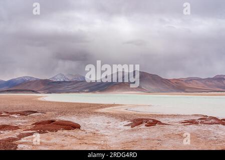 View of freezing lagoon and snowy mountains in Piedras Rojas park in Atacama desert Stock Photo