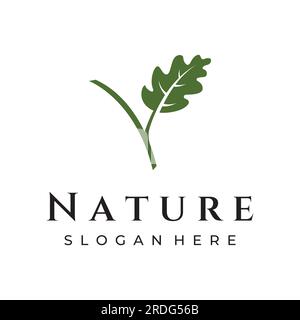 Autumn oak leaf logo and oak tree logo. With editing vector illustration. Stock Vector