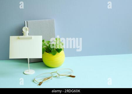 Notebook, memo pad, plant, eyeglasses on blue desk. blue wall background. workspace Stock Photo