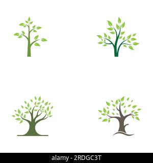 Living tree logo design, using vector concept. Stock Vector