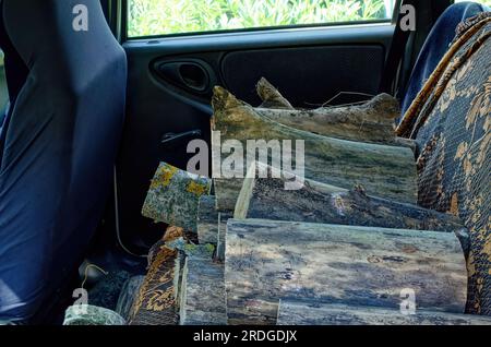Firewood lies in the cabin of an SUV, Russia Stock Photo