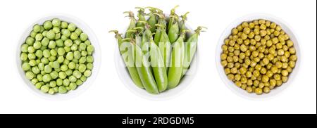 Fresh green peas, pea pods and canned peas in white bowls. Seeds in the left bowl, and a bunch of pea pods in the center bowl. Fruits of Pisum sativum. Stock Photo