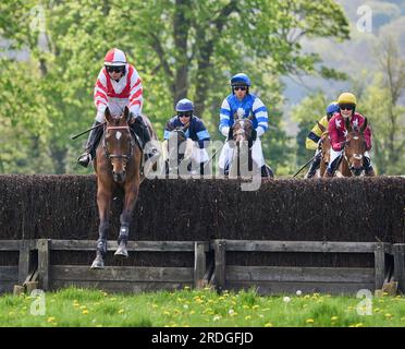 Godstone Races Godstone Point to Point steeplechase horse race Surrey Stock Photo - Alamy