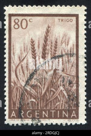 ARGENTINA - CIRCA 1954: stamp printed by Argentina, shows Wheat, circa 1954 Stock Photo