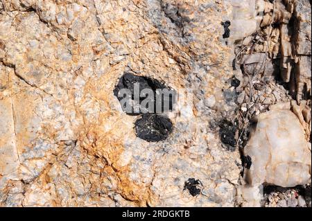 Tourmaline crystal in pegmatite rock and quartz vein. Cape Creus, Girona, Catalonia, Spain. Stock Photo