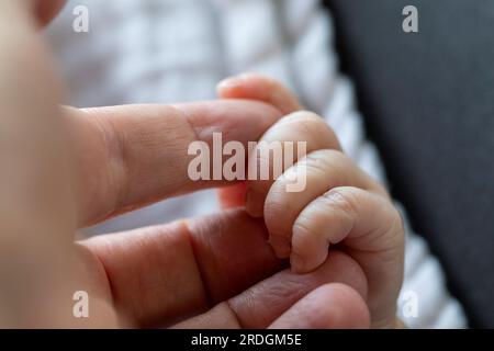 A close up portrait of the small tiny fingers of a baby grabbing or clutching the fingers of the hand of the parent. Showing the care, dependency and Stock Photo