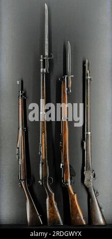  Arisaka & Mosin Nagant rifles under Mexican service