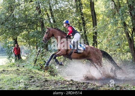 Hattem, the Netherlands - October 5th 2019: Rider on a brown horse crossing a puddle of water in the local 'Molecaten Ruiterdag' military event cross Stock Photo