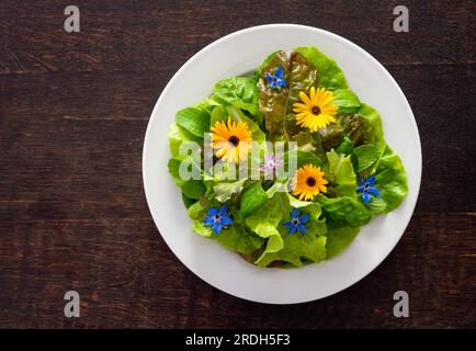 Healthy vegetable salad with wild edible flowers on the plate. Lettuce, borage and calendula flowers Stock Photo
