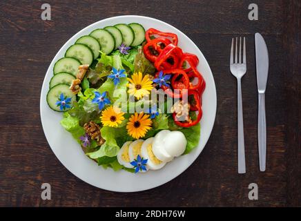 Healthy salad with lettuce, walnuts, sliced egg, bell pepper, cucumber and wild edible flowers calendula and borage isolated on the plate Stock Photo