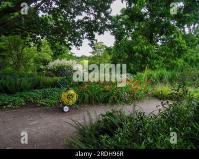 Yellow Hose and hose reel in natural garden setting Stock Photo