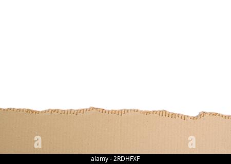 Piece torn corrugated cardboard on white background Stock Photo