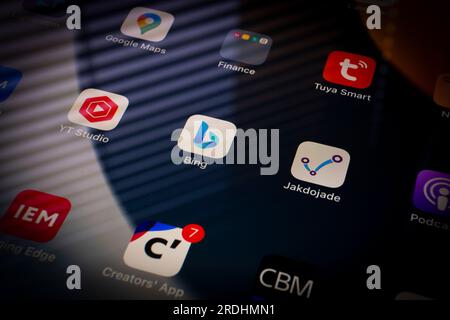 Apps are seen on an iPad home screen. Stock Photo