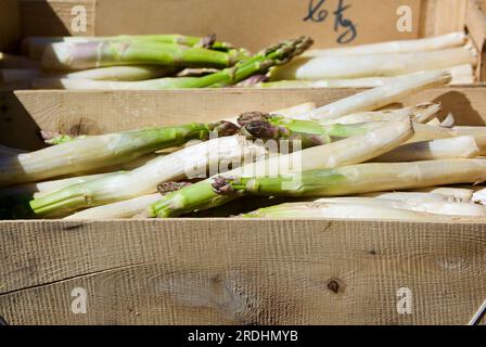Wooden boxes with fresh white asparagus shoots for sale at farmers market in early summer. Stock Photo
