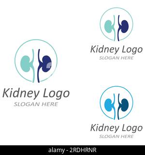 kidney health and kidney care logo using vector concept icon Stock Vector