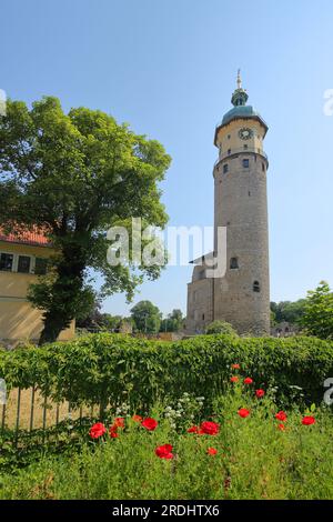 Neideck Castle with Neideck Tower and poppies, Schlossturm, Arnstadt, Thuringia, Germany Stock Photo