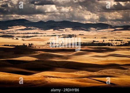 Rolling hills and the Palouse Mountain Range on a late summer day after the wheat harvest. Washington and Idaho, USA. Stock Photo