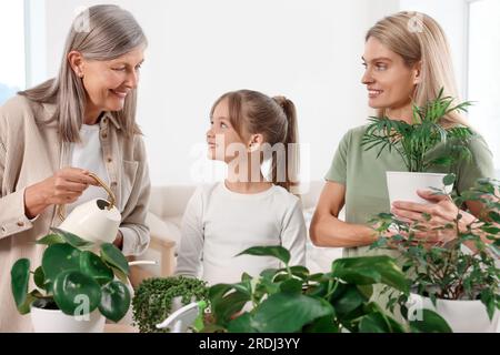 Three generations. Happy grandmother, her daughter and granddaughter watering houseplants at home Stock Photo