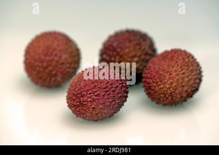 Fruit lychee (Litchi chinensis), Litchie, Detschland Stock Photo