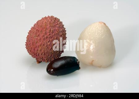 Fruit lychee (Litchi chinensis), Litchie, Detschland Stock Photo