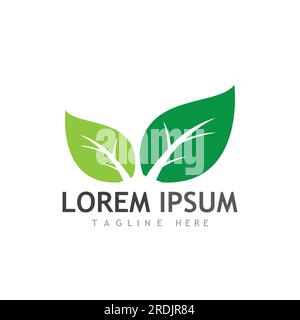 leaf logo and vector images Stock Vector