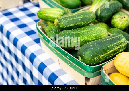 Small cucumbers in a basket on a table with blue checked table cloth at a farmers market. Stock Photo