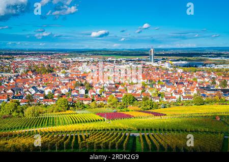 Germany, Fellbach skyline city vineyard panorama landscape nature view, autumn above roofs houses tower skyline,  sunset colors Stock Photo